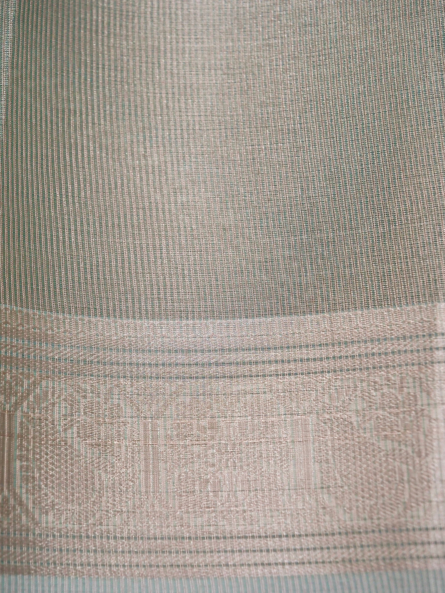 Banarasi tissue silk allover computer embroidery with rangkaat with blouse
