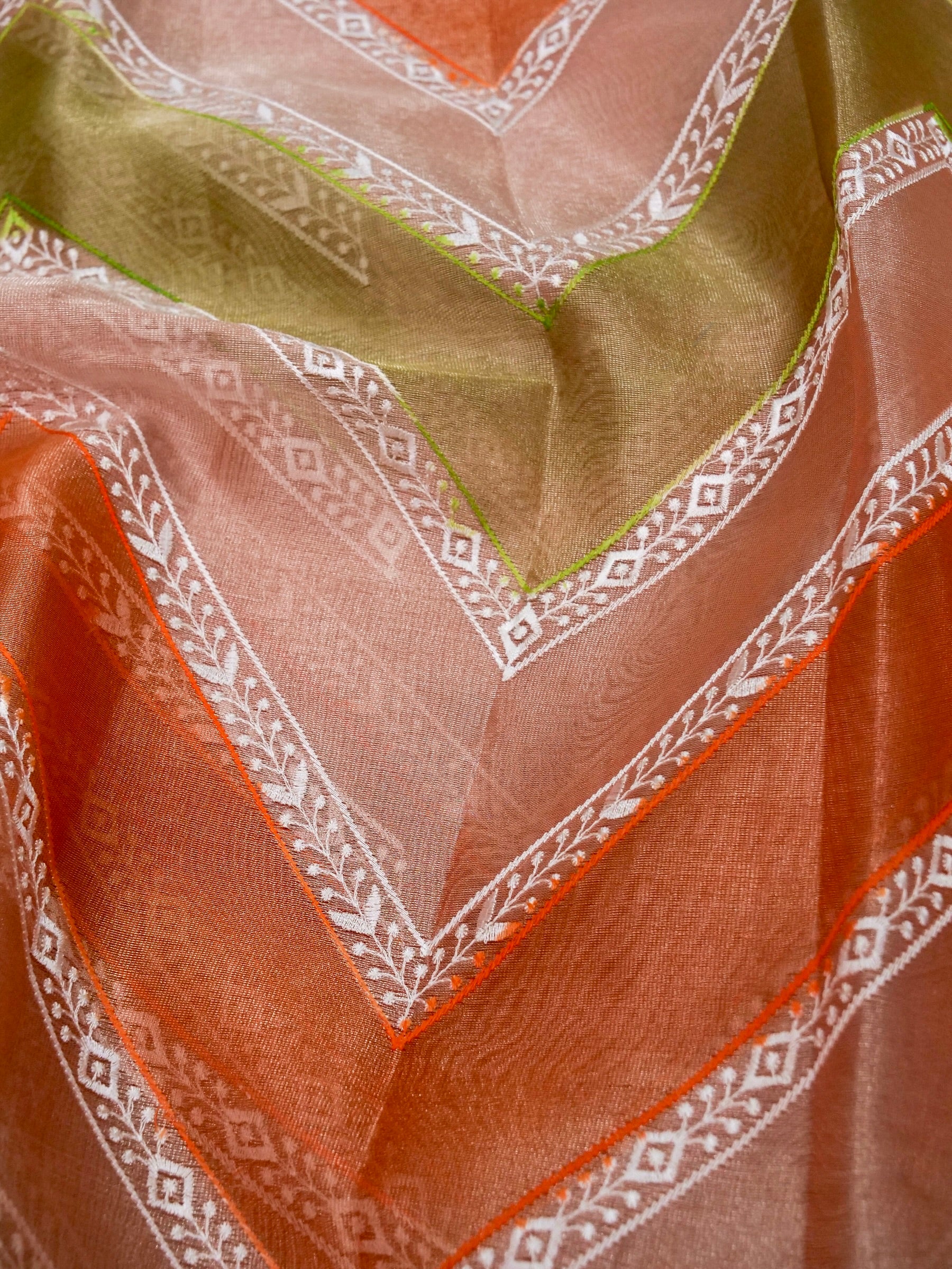 Banarasi tissue silk allover computer embroidery with rangkaat with blouse