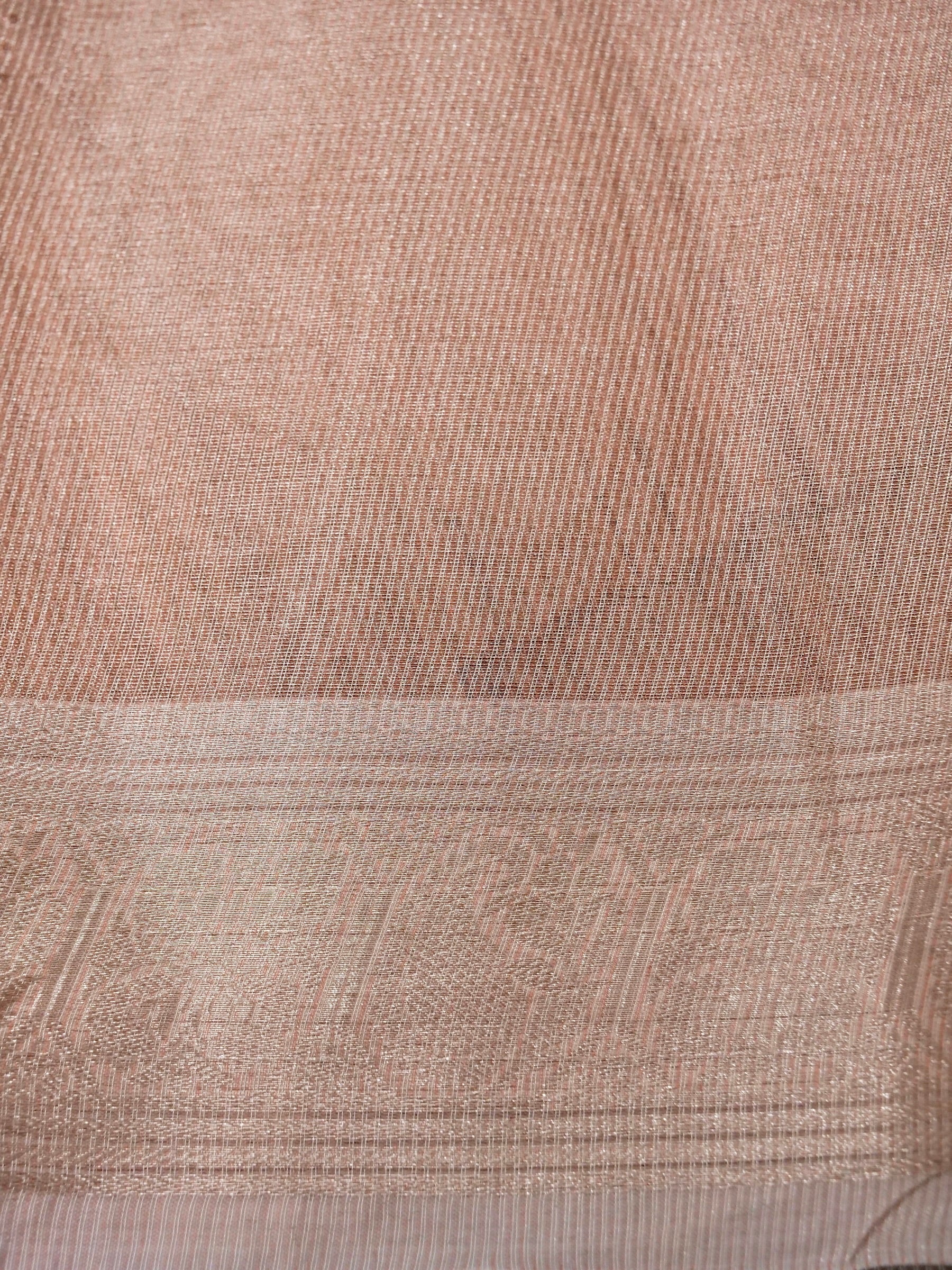 Banarasi tissue silk allover computer embroidery with rangkaat with blouse