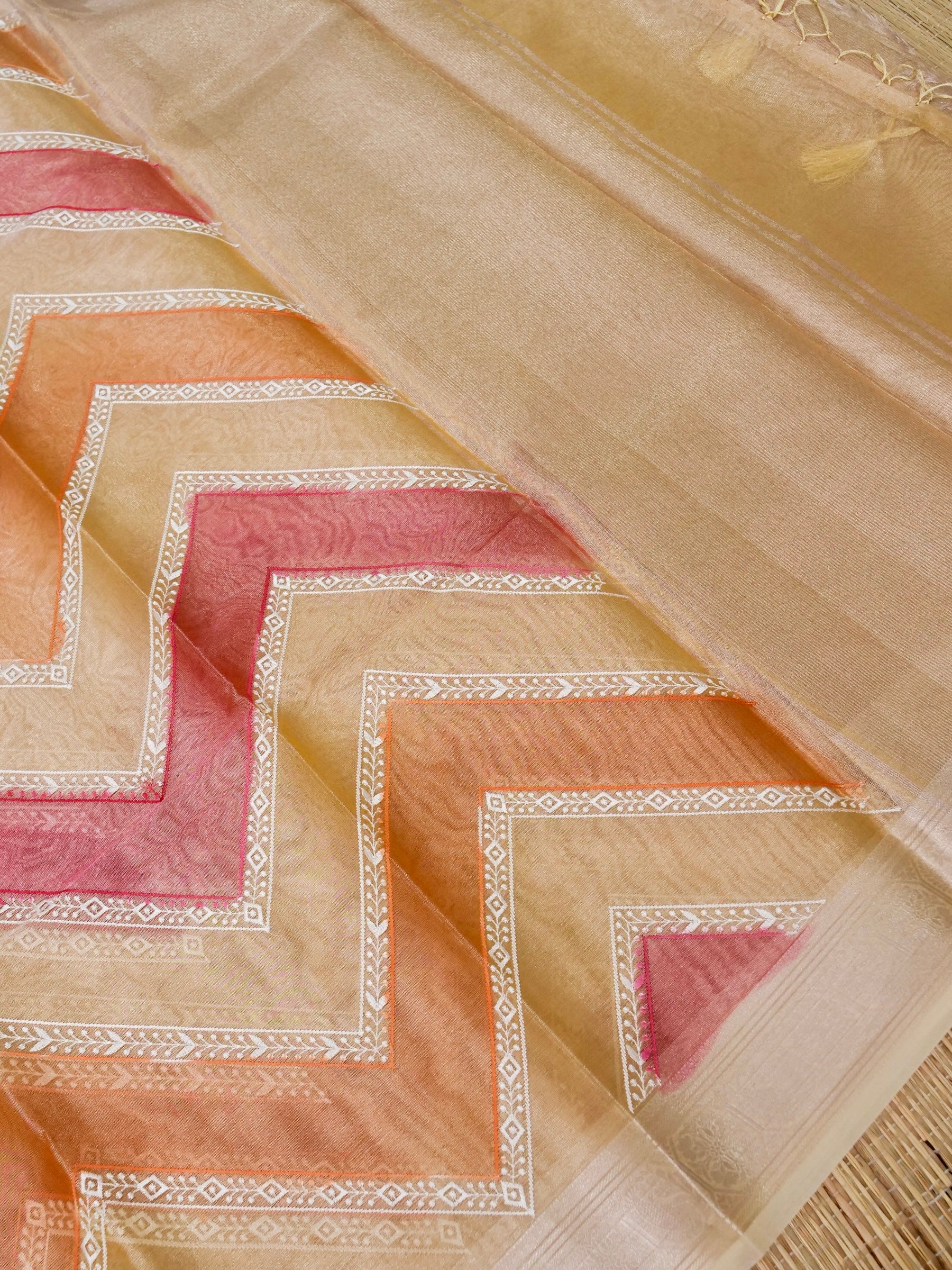 Banarasi tissue silk allover computer embroidery with rangkaat with blouse