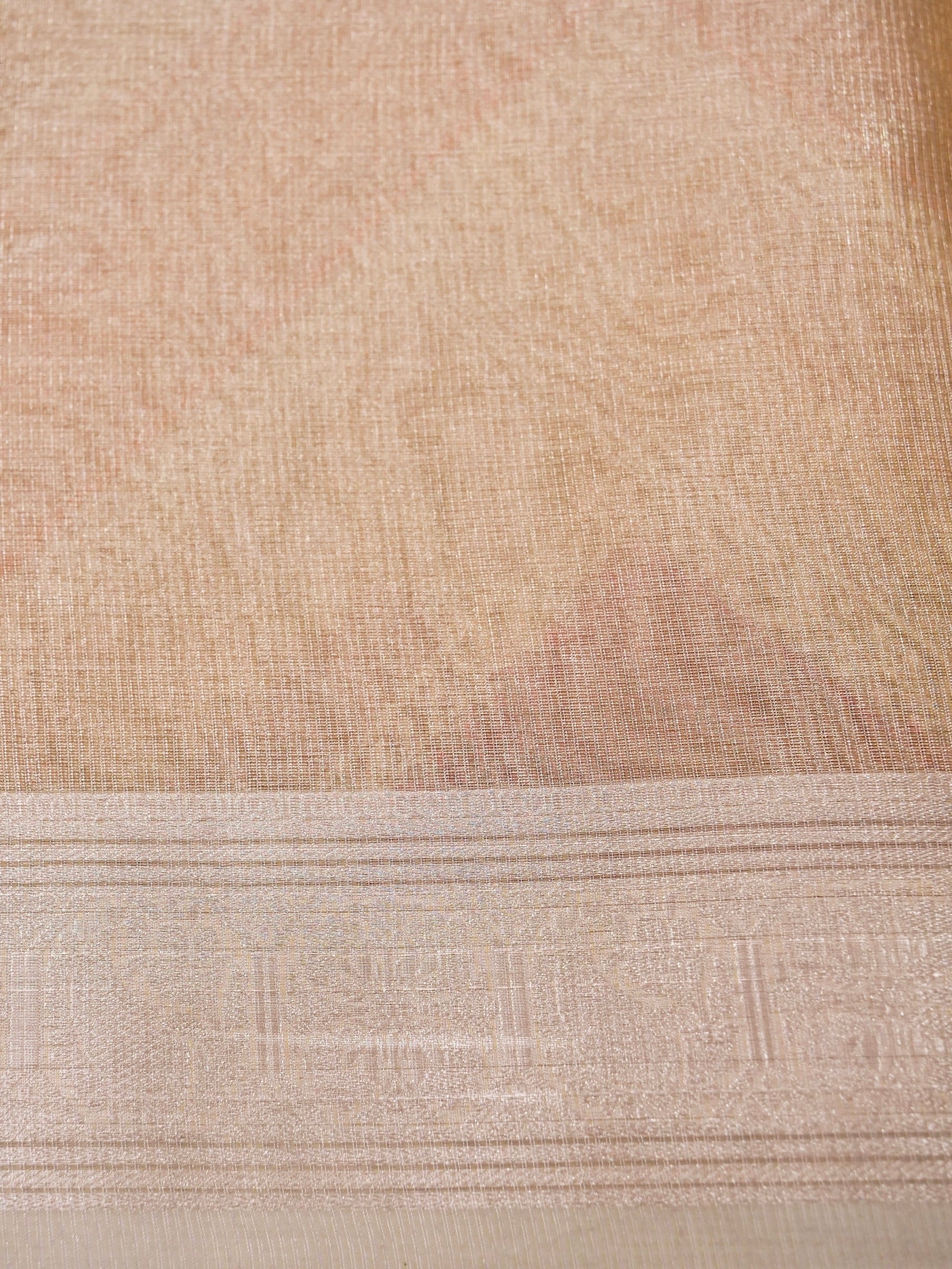 Banarasi tissue silk allover computer embroidery with rangkaat with blouse