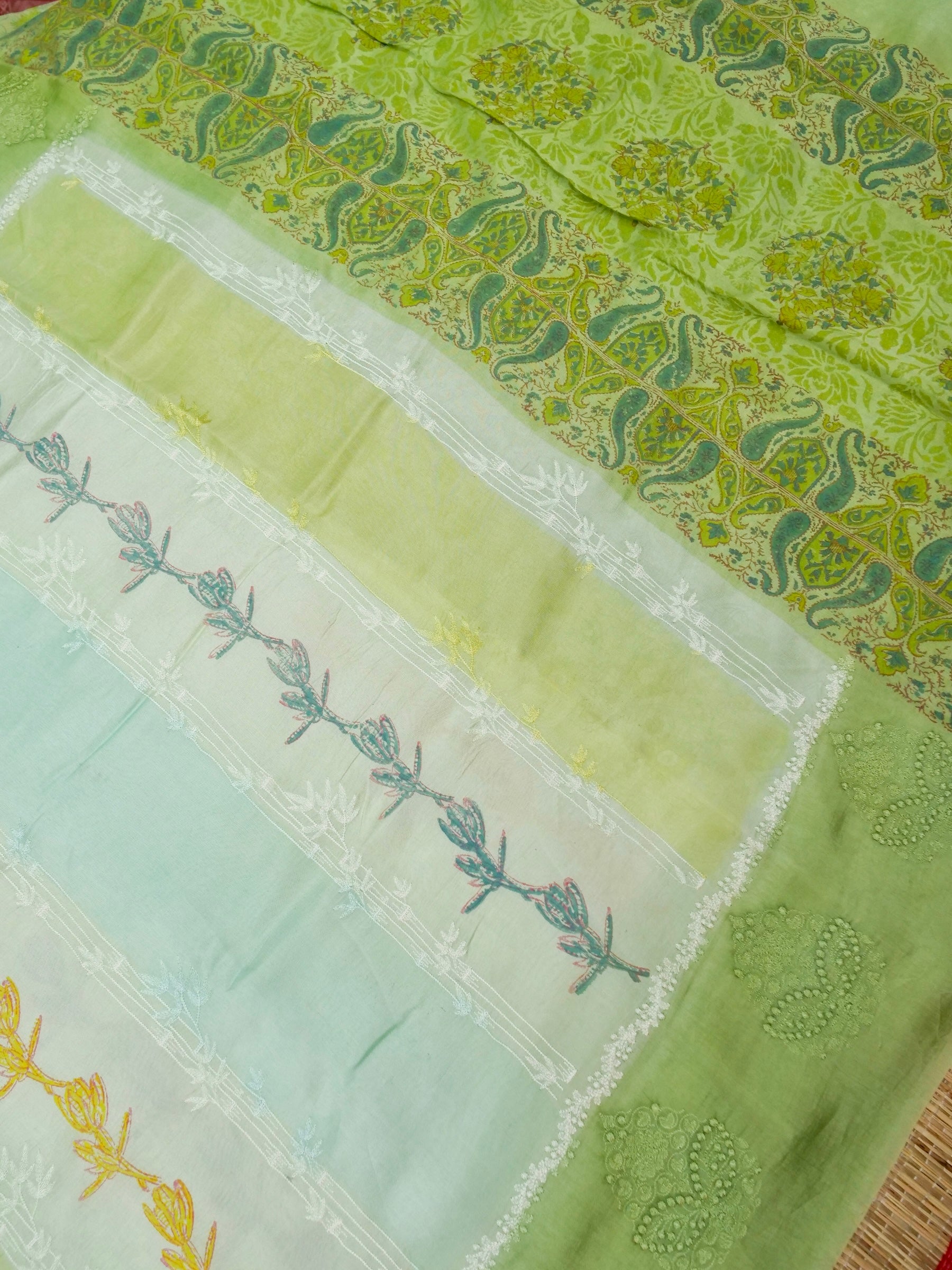 Banarasi pure raw mango silk allover computer embroidery and hand brushing with printed blouse