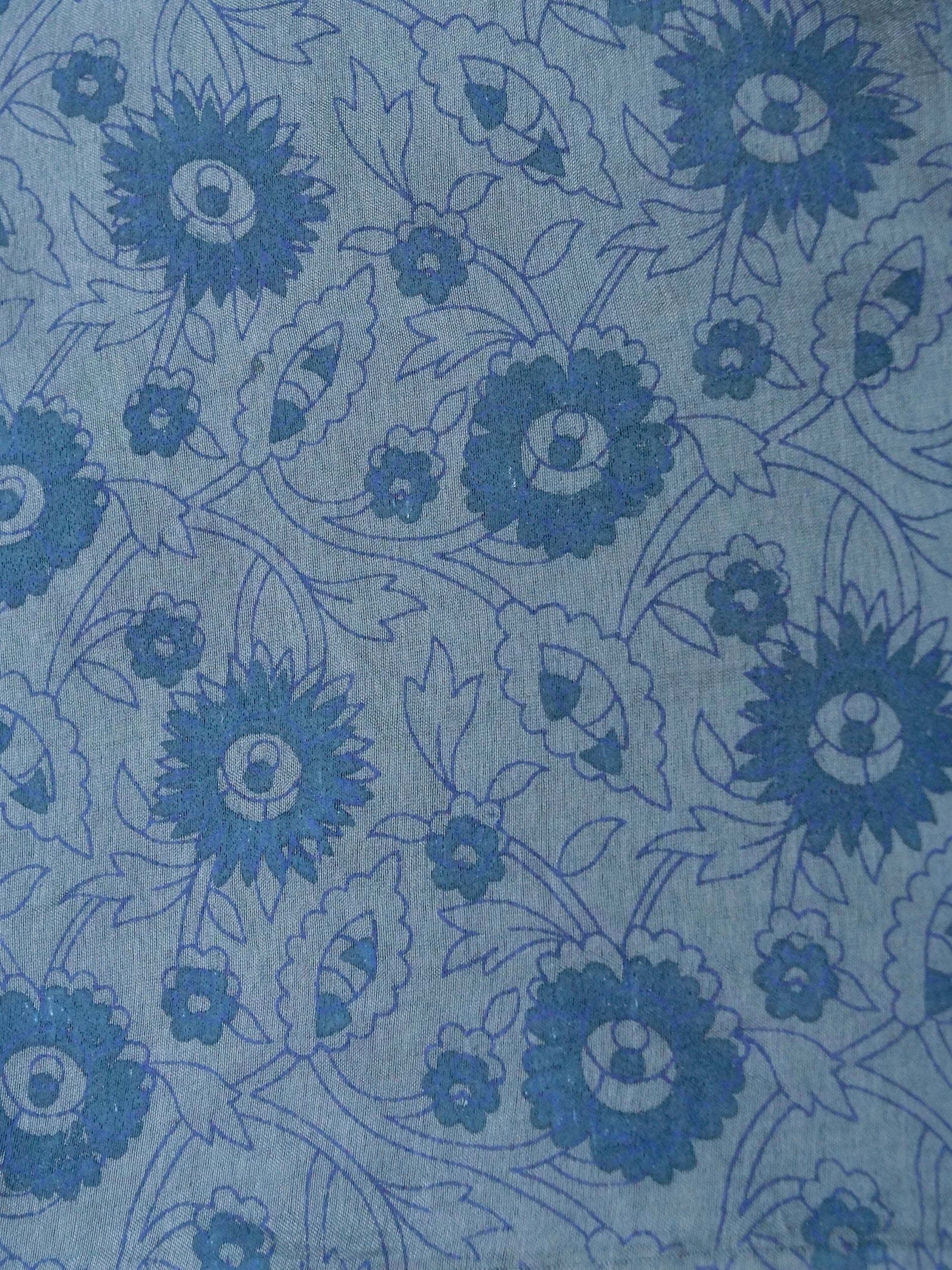 Banarasi pure raw mango silk allover computer embroidery and hand brushing with printed blouse
