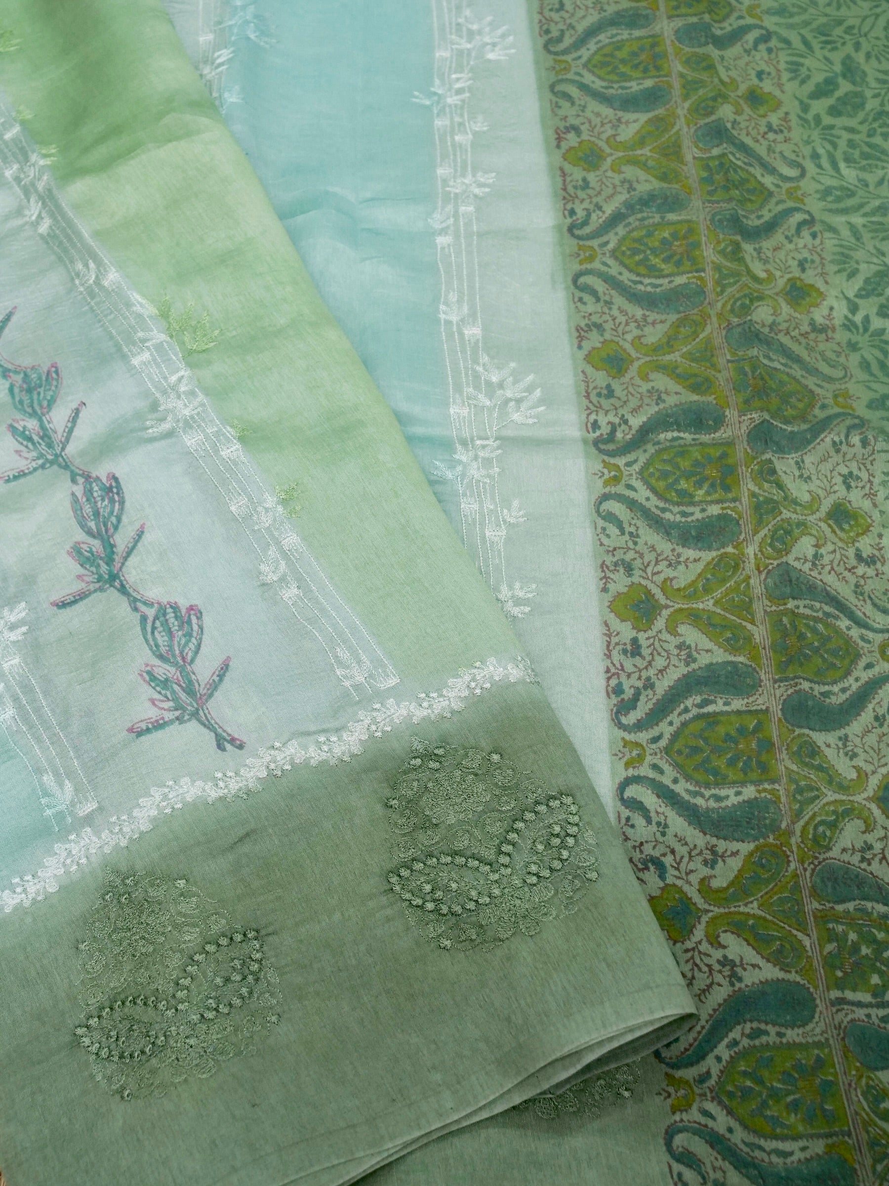 Banarasi pure raw mango silk allover computer embroidery and hand brushing with printed blouse