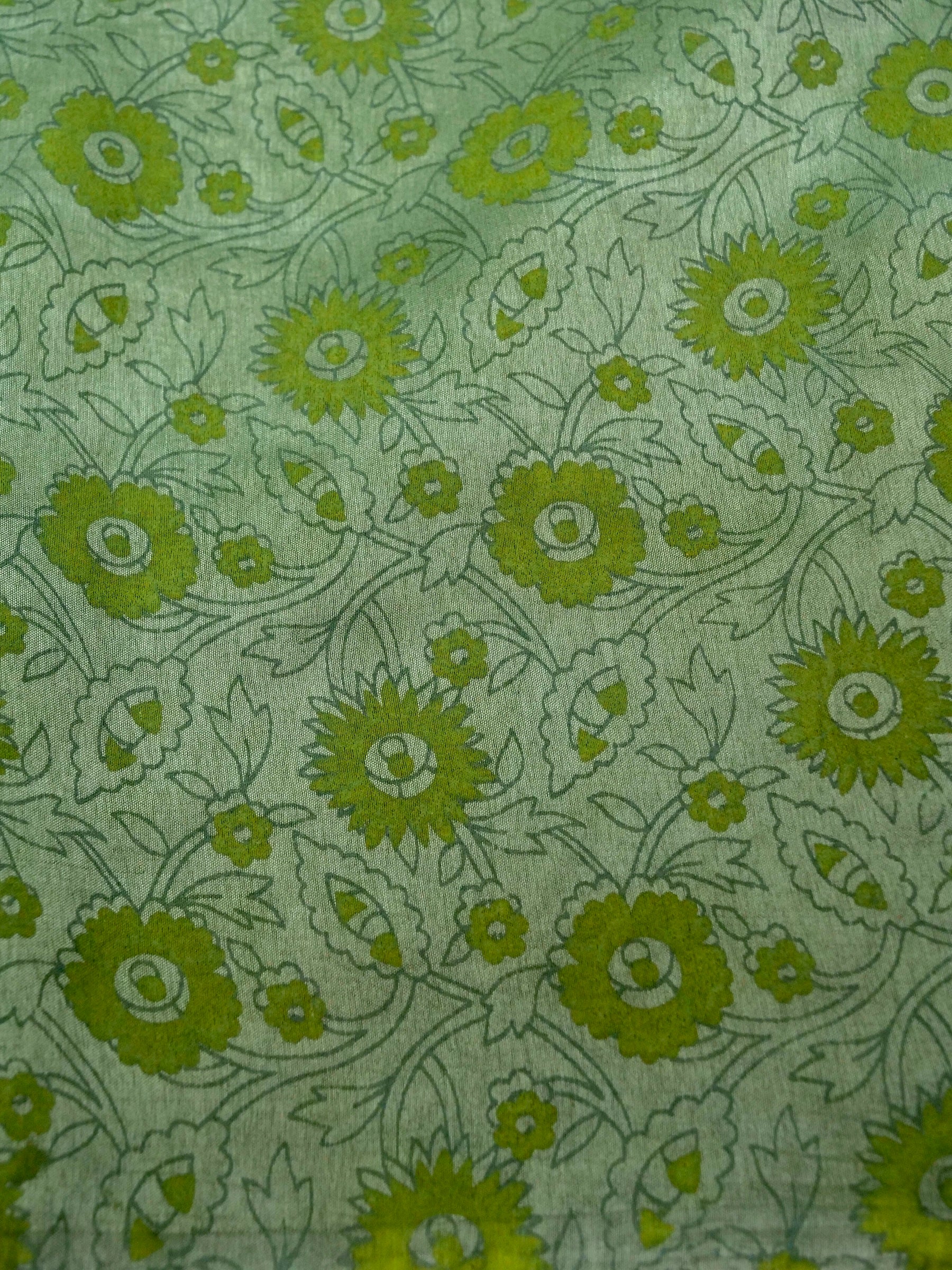 Banarasi pure raw mango silk allover computer embroidery and hand brushing with printed blouse