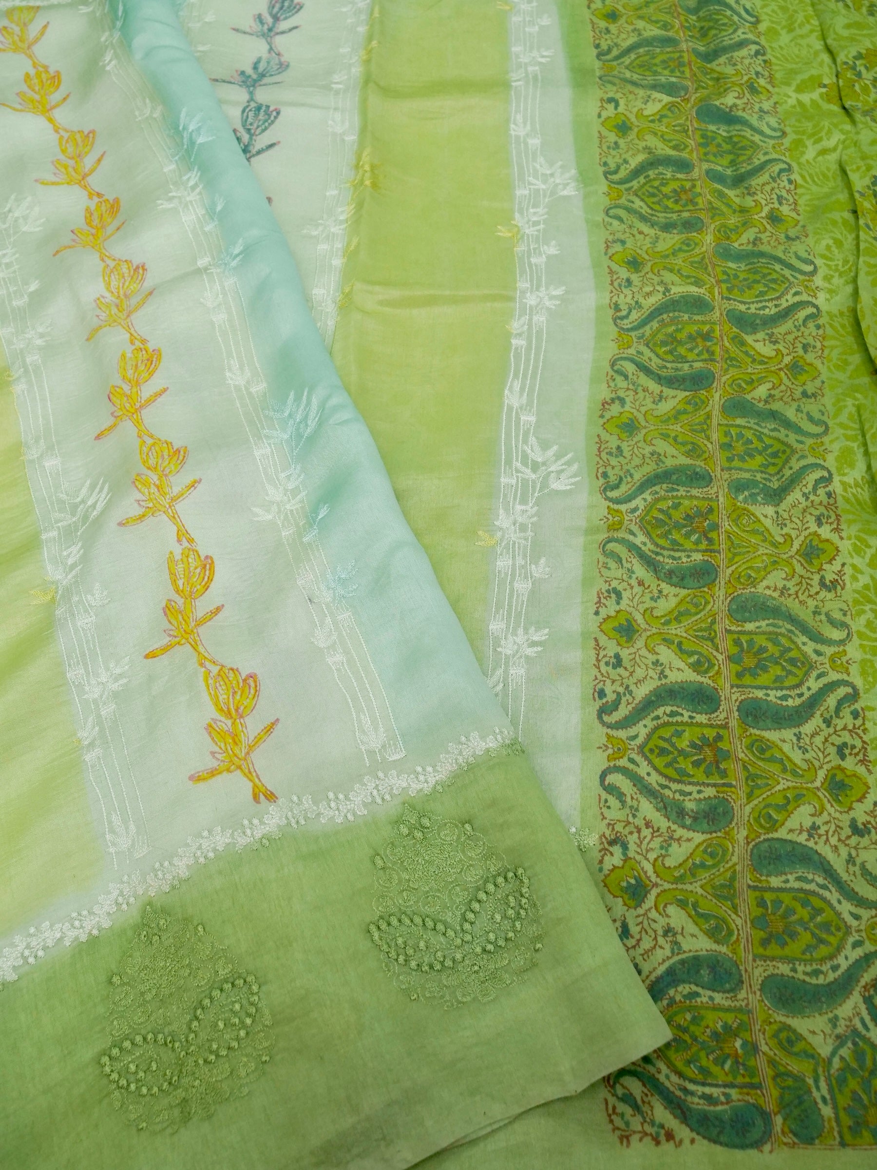 Banarasi pure raw mango silk allover computer embroidery and hand brushing with printed blouse