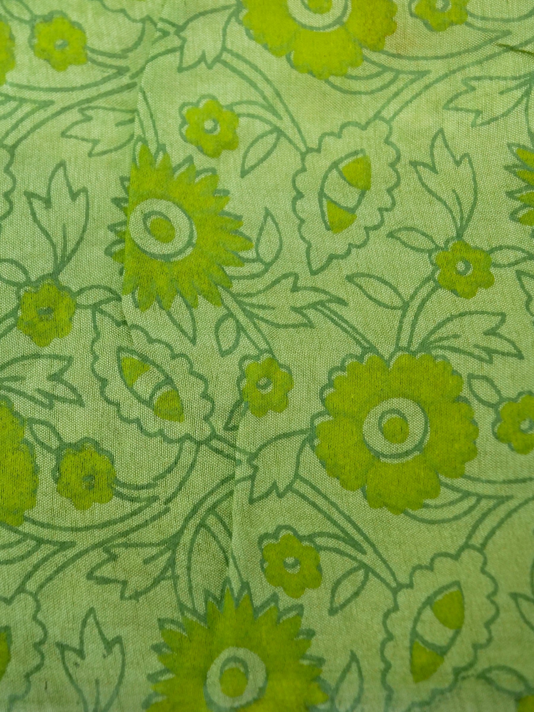 Banarasi pure raw mango silk allover computer embroidery and hand brushing with printed blouse