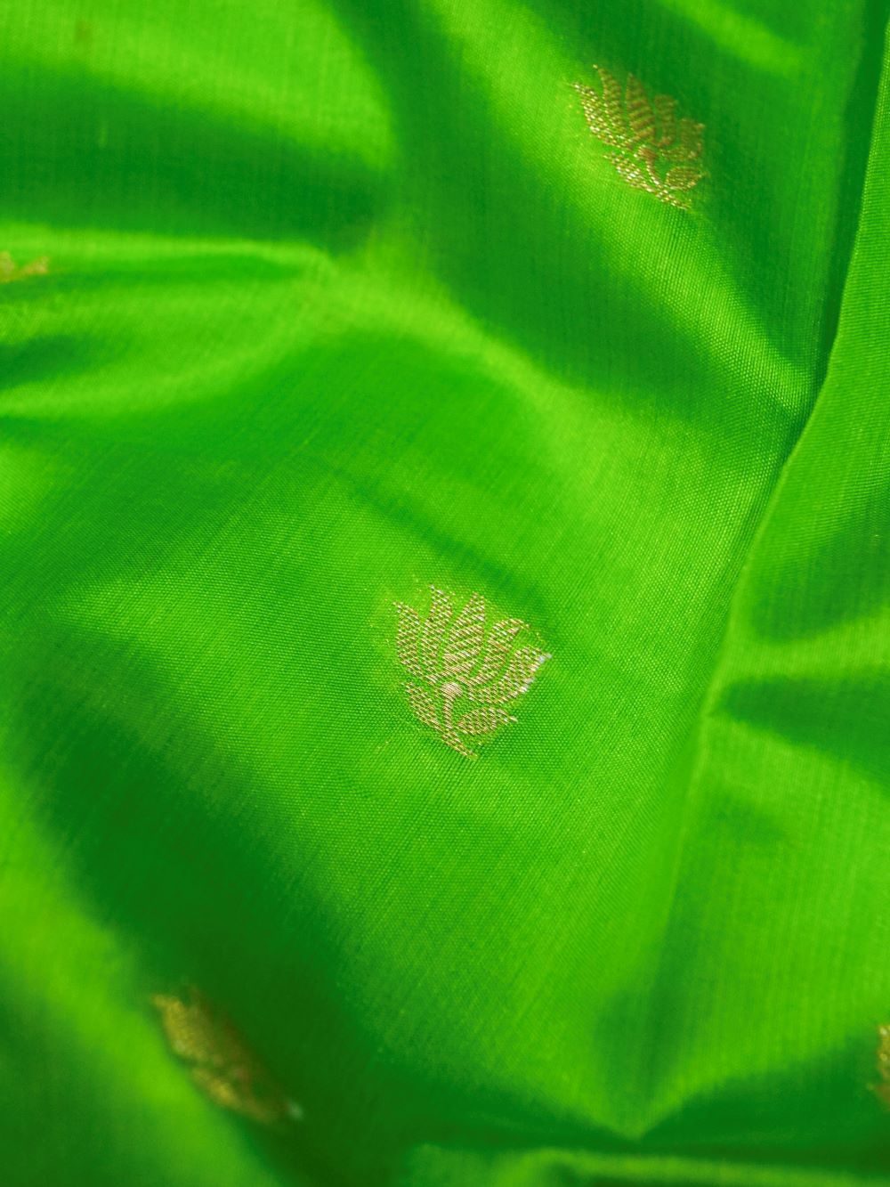 Banarasi Pure Dupion Silk Allover Zari Buti Design with Paithni Border Contrast Blouse